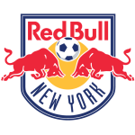 New York logo