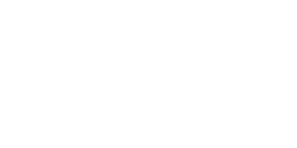 paston logo