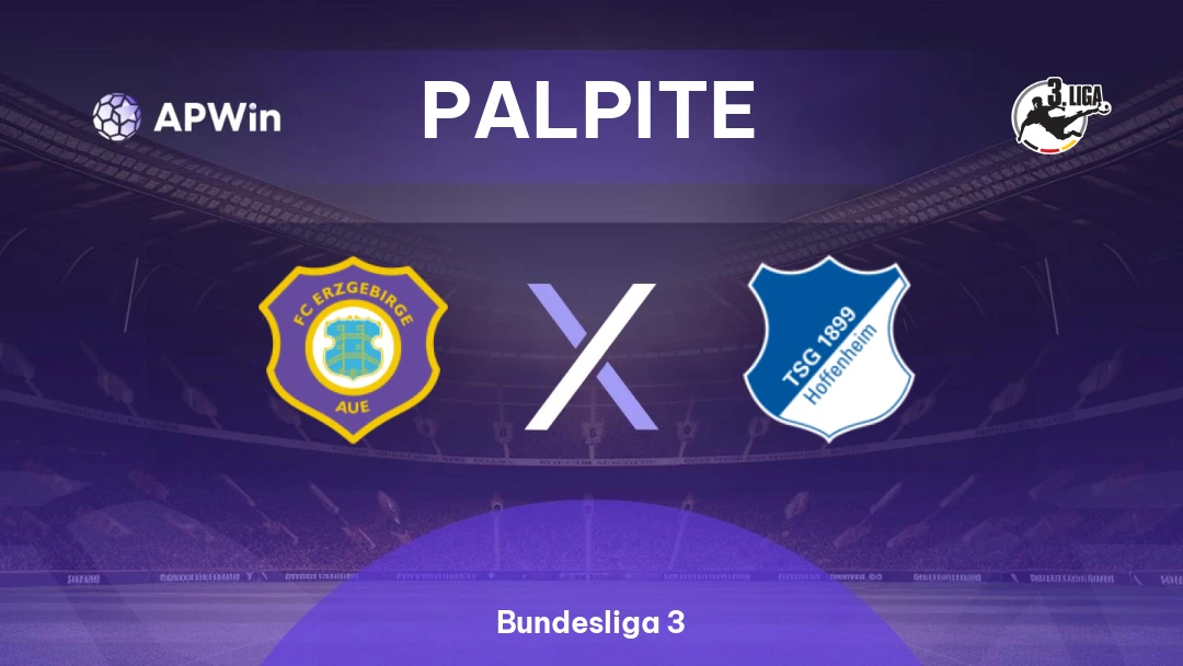 Erzgebirge Aue x Hoffenheim II Thumbnail