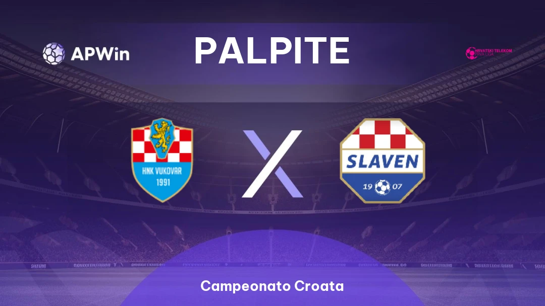 HNK Vukovar 1991 x Slaven Belupo Thumbnail