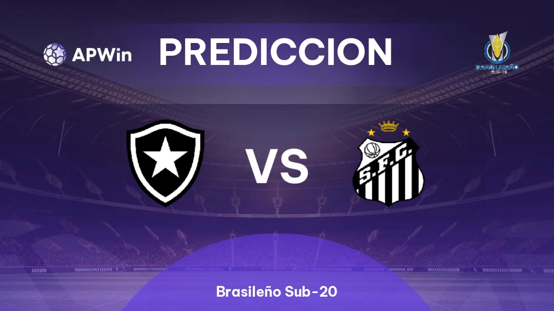 Botafogo Sub-20 vs Santos Sub-20 Thumbnail