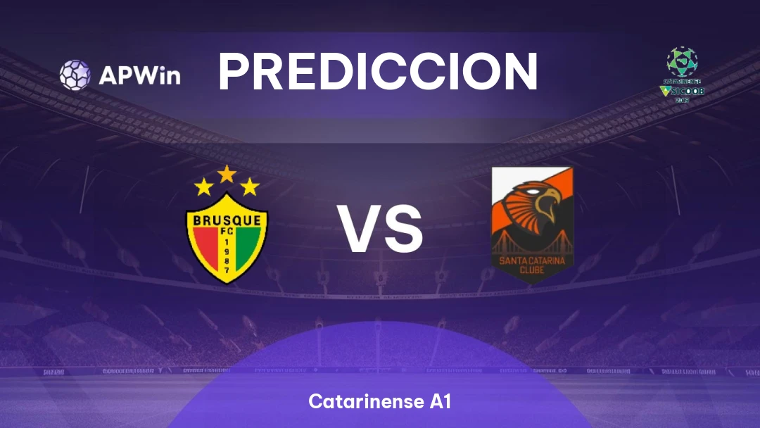 Brusque vs Santa Catarina Thumbnail