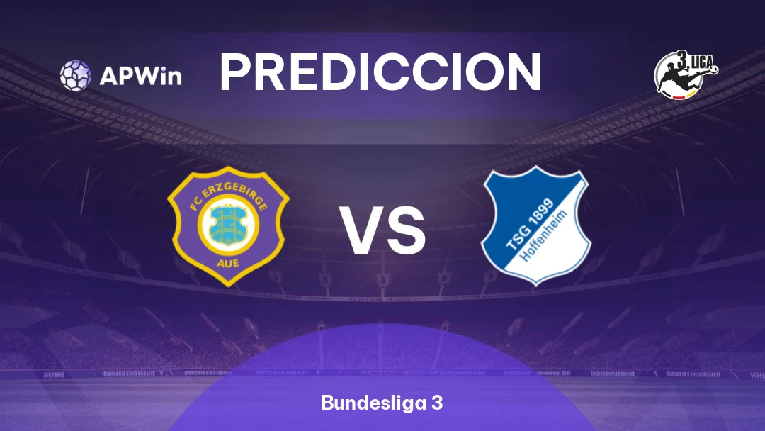 Erzgebirge Aue vs Hoffenheim II Thumbnail