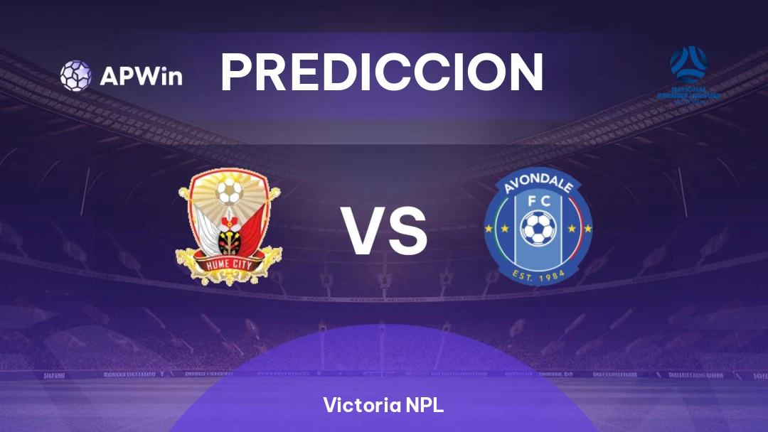 Hume City vs Avondale Thumbnail