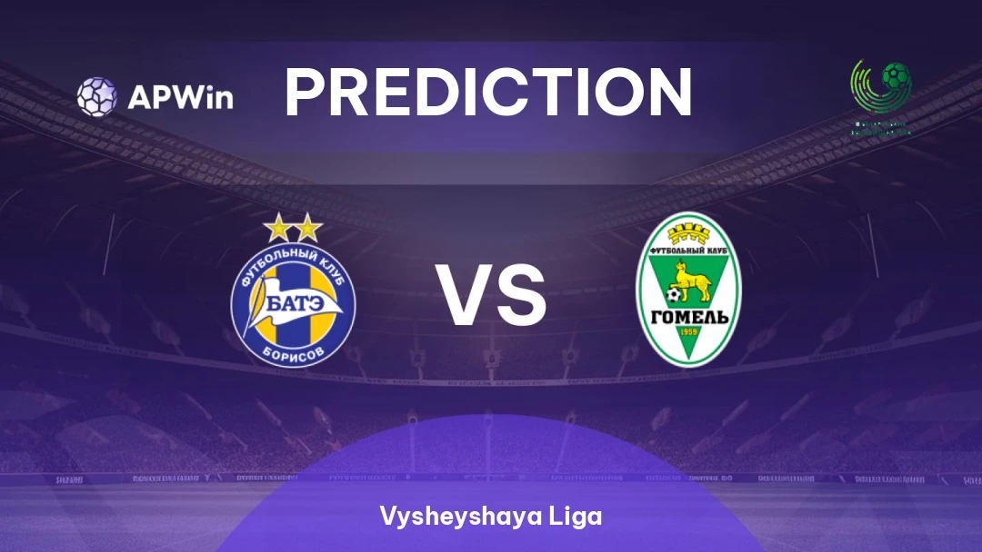BATE vs Gomel Thumbnail