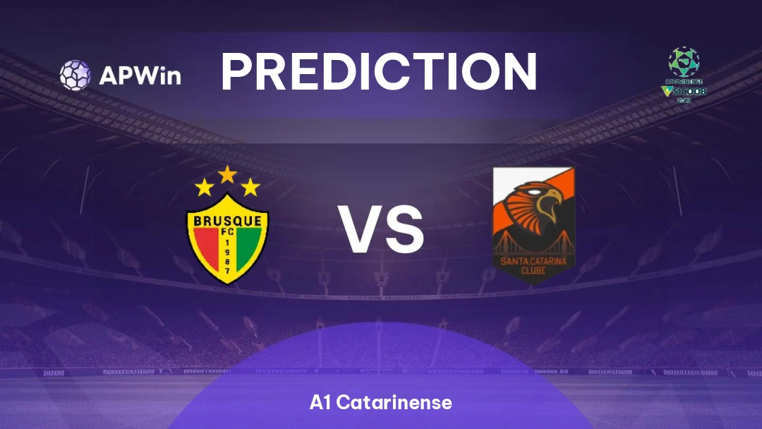 Brusque vs Santa Catarina Thumbnail