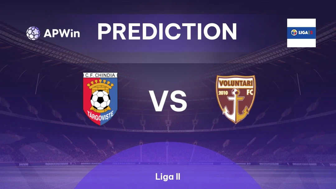 Chindia Târgovişte vs Voluntari Thumbnail