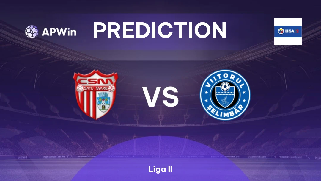 CSM Satu Mare vs Viitorul Şelimbăr Thumbnail