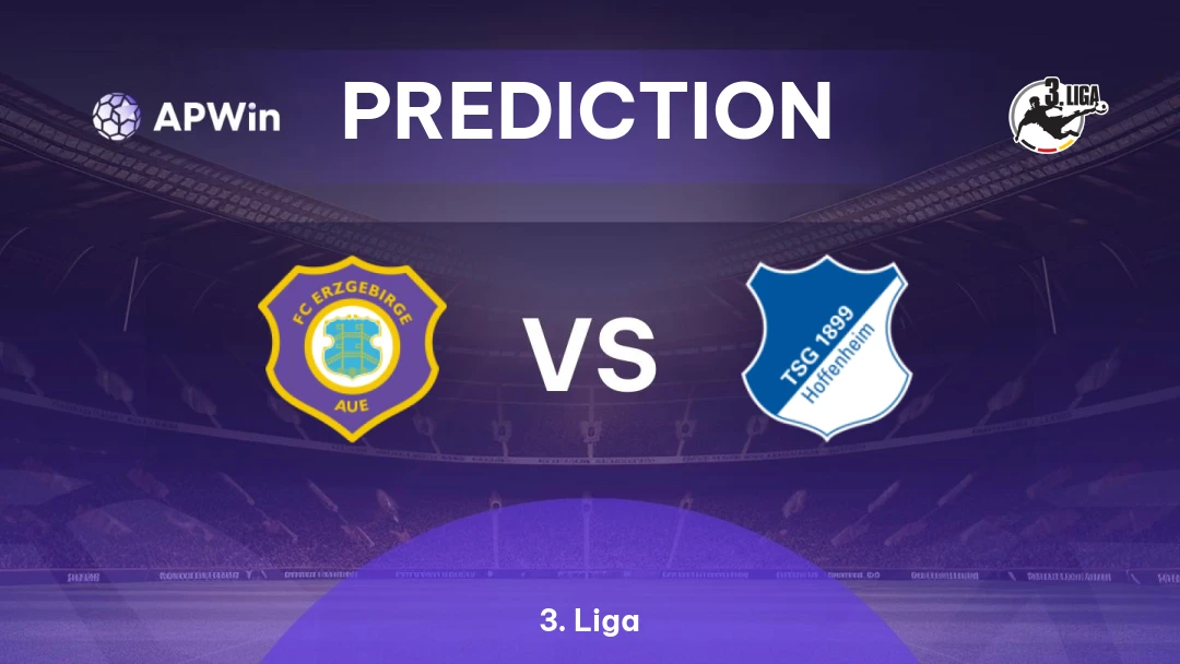 Erzgebirge Aue vs Hoffenheim II Thumbnail