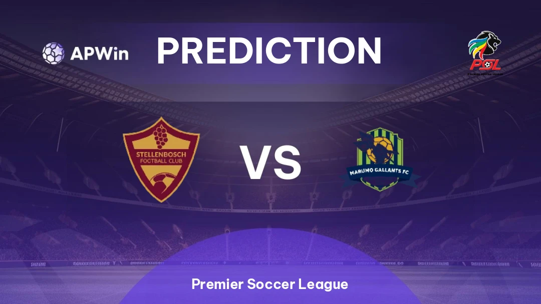 Stellenbosch vs Marumo Gallants Thumbnail