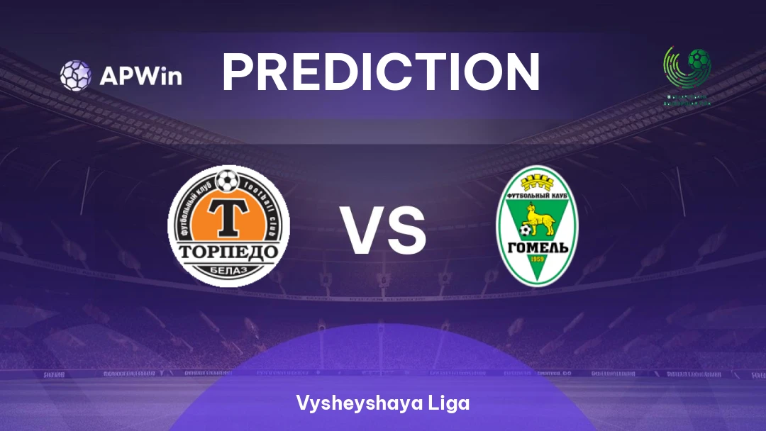 Torpedo BelAZ vs Gomel Thumbnail
