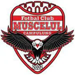 Muscelul Câmpulung Elite Logotipo del equipo