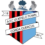 Uckfield Town Team Logo