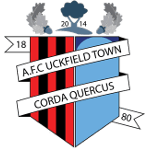 AFC Uckfield Team Logo