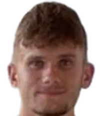 Henrik Nerguti headshot