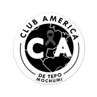 América Tepo logo de equipe