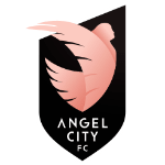 Angel City Team Logo