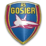  Gosier logo de equipe 