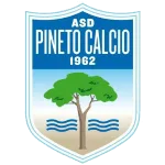 Pineto Team Logo