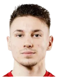 Slobodan Mihajlovic headshot