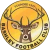 Bashley Team Logo