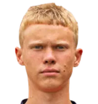 Vladislav Grekovich foto de rosto