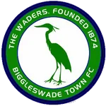 Biggleswade logo de equipe
