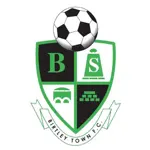 Birtley Town Team Logo