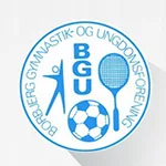 Borbjerg W Logotipo del equipo