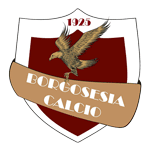 Borgosesia Team Logo