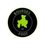 Bourges Foot Logotipo del equipo
