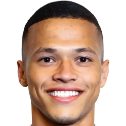 Darlan Pereira Mendes headshot