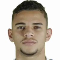 Edson Fernando da Silva Gomes headshot