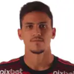 Pedro Guilherme Abreu dos Santos headshot