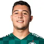 Pedro Bicalho headshot