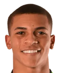 Rodrigo Henrique Santos de Souza headshot