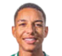 Yan Henrique Rodrigues da Silva headshot