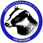 Brockenhurst Team Logo