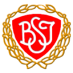 BSI logo