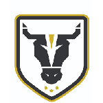 Bulls Academy Logotipo del equipo