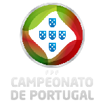 Portugal country flag