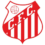 Capivariano Sub-20 logo de equipe