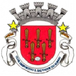 São Salvador logo de equipe