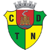 CD Torres Novas logo de equipe