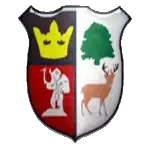 Cinderford Town logo de equipe