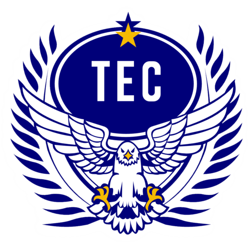 Taguatinga logo de equipe