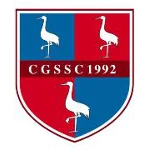 Crawley Green Logotipo del equipo