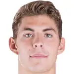 Emil Berggreendisparo a la cabeza