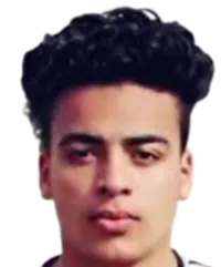 Mohamed Ismail Hamed headshot