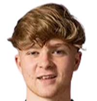 Harry Vaughan foto de rosto